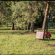 Image of a man hiding poorly via Facebook